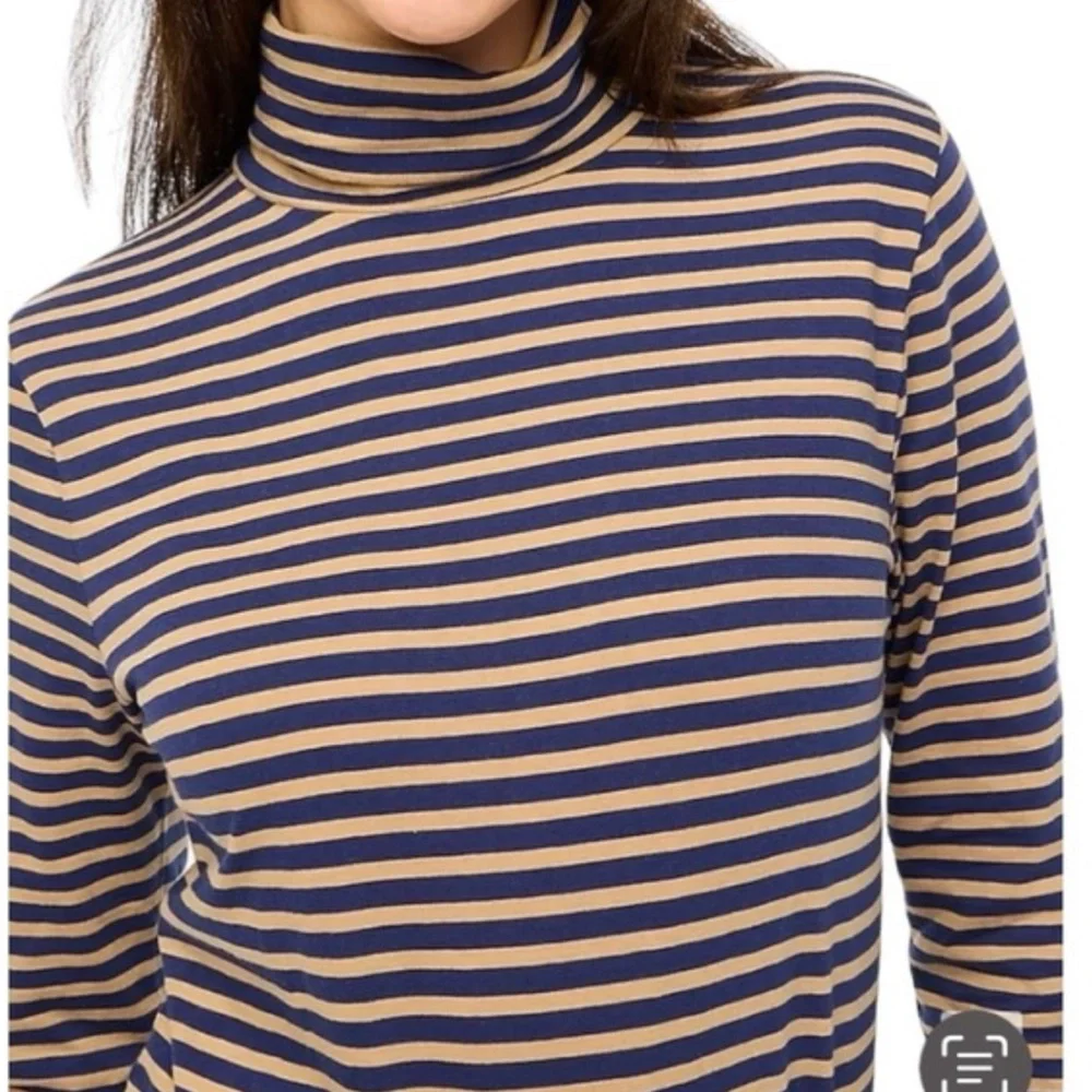 ⭐️5/$25⭐️ J. Crew Striped Blue Tan Turtleneck Blouse